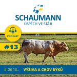 Obrázek epizody #Díl 13.: Schaumann - VÝŽIVA A CHOV BÝKŮ