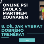 Obrázek epizody #8 Jak vybrat dobrého trenéra?