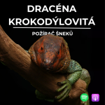 Obrázek epizody 75: Požírač šneků | Dracéna krokodýlovitá