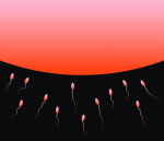 Obrázek epizody Birthstory