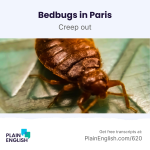 Obrázek epizody The Great Paris Bedbug Battle of 2023 | Learn English phrasal verb 'creep out'