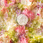 Obrázek epizody HOROSKOPY: Berani, kouzlo vaší osobnosti všichni podlehnou, snadno získáte podporu