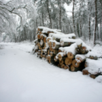 Obrázek epizody HOROSKOPY: Ryby, pracovní i milostný život vypadá nadějně. Naplňujete svůj osud