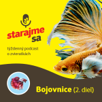 Obrázek epizody Akvaristika: Bojovnice 2.časť