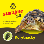 Obrázek epizody Teraristika: Korytnačky