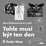 Obrázek epizody Sára Zeithammerová: Svatebčanka