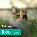 Obrázek epizody Zvěřinec s MVDr. Karolínou Štoselovou