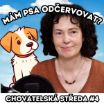 Obrázek epizody 🐶 Mám PSA OČERVOVAT? 🐶 | Chovatelská středa #4