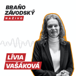 Obrázek epizody Vašáková: Slabá angažovanosť rezortu zdravotníctva ohrozuje Plán obnovy, procesy sú extrémne zdĺhavé