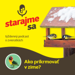 Obrázek epizody Vtáky : Ako prikrmovať v zime?