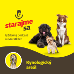 Obrázek epizody Psy: Kynologický areál