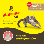 Obrázek epizody Mačky: Kastrácie pouličných mačiek