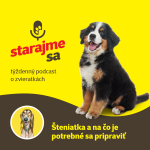 Obrázek epizody Psy: Šteniatka a na čo je potrebné sa pripraviť