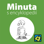 Obrázek epizody Křížovky