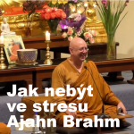 Obrázek epizody Jak nebýt ve stresu | Ajahn Brahm | 12.5.2017