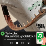 Obrázek epizody Tack collar: Kauza, která vyvolala bouři