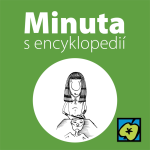 Obrázek epizody Chirurgie