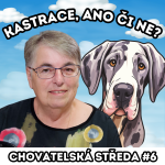 Obrázek epizody ❓KASTRACE, ano či ne❓| Chovatelská středa #6