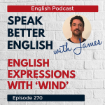 Obrázek epizody Speak Better English with Harry | Episode 270