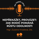 Obrázek epizody Nepřekážet, provázet: Jak rodič pomáhá růstu odolnosti