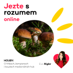 Obrázek epizody Houby - O hřibech, žampionech i kouzlech medicinálních hub