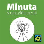 Obrázek epizody Fotografie