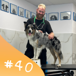 Obrázek epizody #40 Stano Farkaš: Ošetření se souhlasem