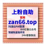 Obrázek epizody 24小时买粉网站：千川粉丝如何帮助提升抖音直播间的热度？