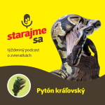 Obrázek epizody Teraristika: Pytón kráľovský