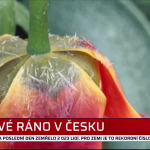 Obrázek epizody Zprávy PLUS 26.4.2021 11:30