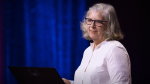 Obrázek epizody How to find humor in life's absurdity | Maira Kalman