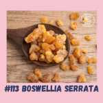 Obrázek epizody #113 BOSWELLIA SERRATA - KADIDLOVNÍK PILOVITÝ / epigenetika, klouby, svaly, šlachy, zánět, mikrobiom, artróza, artritida, chrupavka, ateroskleróza, ADHD, deprese, boswelie serrata
