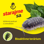 Obrázek epizody Teraristika: Bioaktívne terárium
