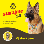 Obrázek epizody Psy: Výstava psov
