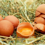 Obrázek epizody Nejlepší míchaná vajíčka – jinak je dělat nebudete a podrží vaši imunitu