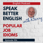 Obrázek epizody Speak Better English with Harry | Episode 334