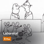 Obrázek epizody Laboratoř: Ohrožení plazi často žijí v zalidněných oblastech