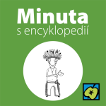 Obrázek epizody O. K.