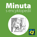 Obrázek epizody Armageddon