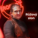 Obrázek epizody 06 | Lucie Slováčková & Růžový slon: Kdy a jak mluvit o sexu?