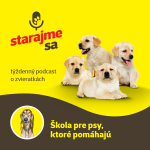 Obrázek epizody Psy: Škola pre psy, ktoré pomáhajú