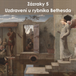 Obrázek epizody 26|01|04| František Brückner | Zázraky 5: Uzdravení u jezera Bethesda