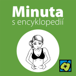 Obrázek epizody Pneumatika