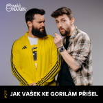 Obrázek epizody S2 Ep19: JAK VAŠEK KE GORILÁM PŘIŠEL: Vzpomínky na Afriku