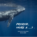 Obrázek epizody Prorok, moře a ...?
