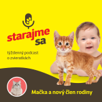 Obrázek epizody Mačky: mačka a nový člen rodiny