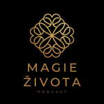 Obrázek epizody Umělá inteligence v praxi: dokonalý asistent na všechno | Honza Jiráň & Radek Bárta #151