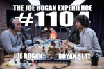 Obrázek epizody #1104 - Boyan Slat