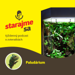 Obrázek epizody Teraristika: Paludárium