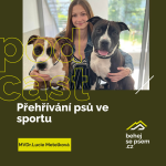 Obrázek epizody Přehřívání psů a jak na něj vyzrát | MVDr. Lucie Metelková